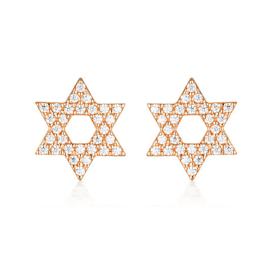 ROCK STAR STAR OF DAVID ROSE GOLD EARRINGS
